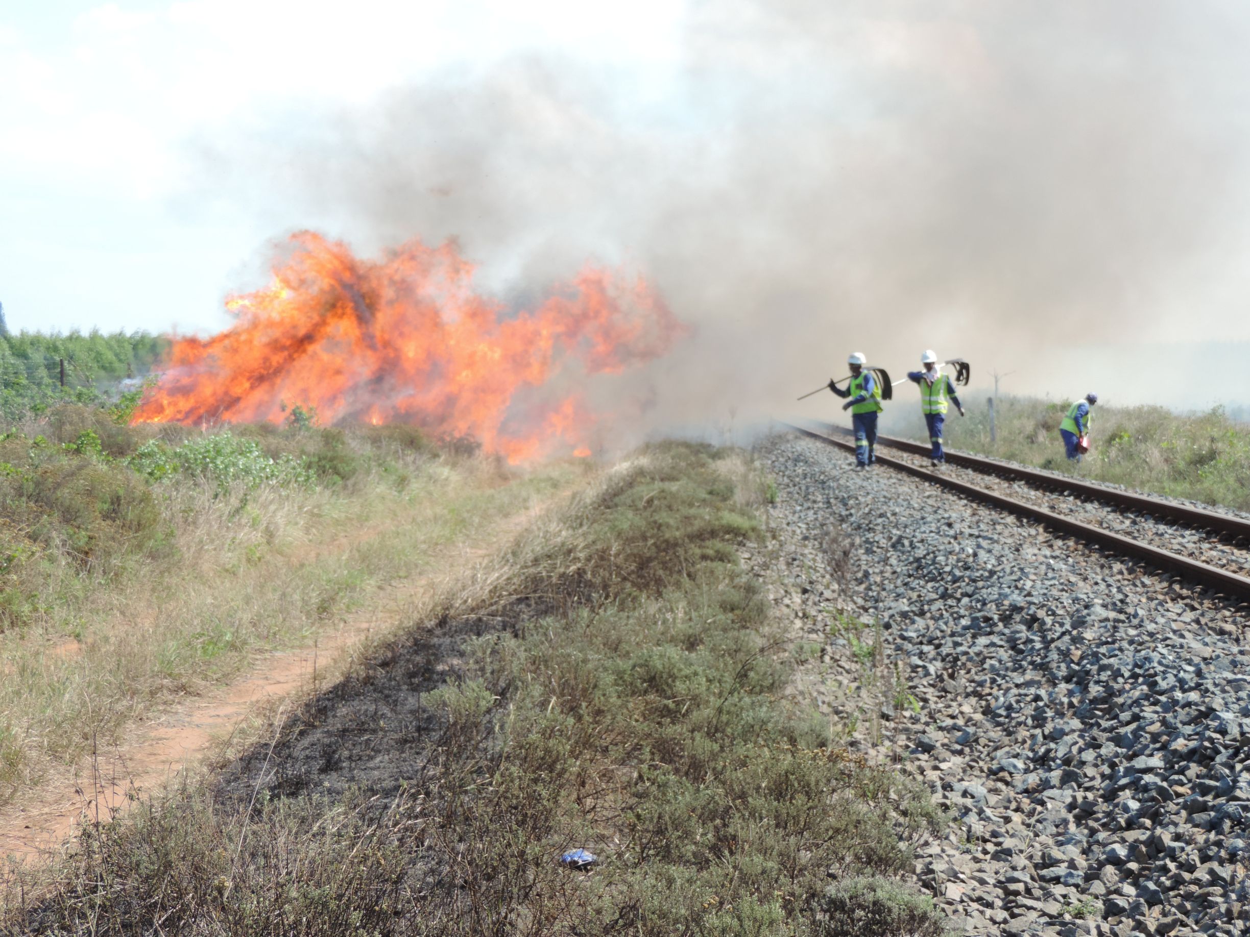 Rail line fire breaks